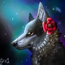 shadow.wolf24