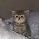 .kkube