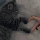 micaxxd