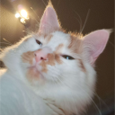 avatar 👑𝔗𝔥𝔢 𝔊𝔬𝔟𝔩𝔦𝔫 𝔎𝔦𝔫𝔤👑