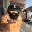 brohdon2