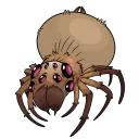kinkumo