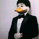 bavibardem