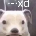 _el_senor_de_la_noche_ avatar