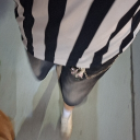 avatar ก๊อบแก๊บอยากเลี้ยงปลาตีน