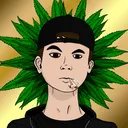 weedoaiden