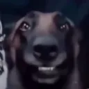 dark47killer