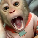 avatar !   𝑱𝑼𝑳𝑰𝑬    💋