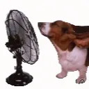 croudorothy