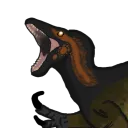 r4yy4nn avatar