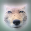 jsix9's avatar