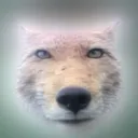 jsix9