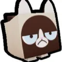 antonwellror