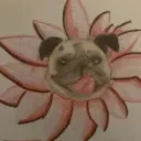 thediamondpug