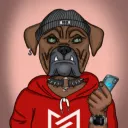 mtvdawgs
