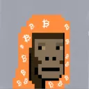 bitcoin.saudis