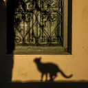 avatar iliveinsidetheufo