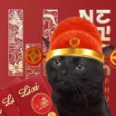 avatar ᝰ.ʂεɭκίεˎˊ˗