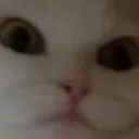 Аватар agureziv