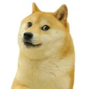 rover_playz