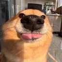 drparlsey