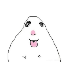 avatar ೃ❀࿔ hadar ₊   ˙ 𓇼