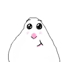 avatar ೃ❀࿔ hadar ₊   ˙ 𓇼