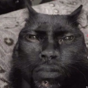 avatar ೃ❀࿔ hadar ₊   ˙ 𓇼