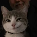 pishie.gang