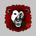 aslan7384