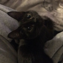 avatar 𝙖𝙡𝙡𝙮𝙬𝙖𝙮