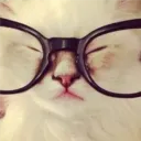 Аватар papegemabodi