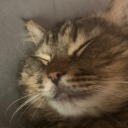 avatar николай