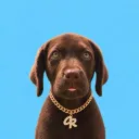 kozzy69