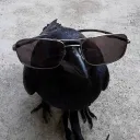 .thecrow.