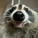 musofish