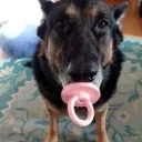 Аватар xercc1337