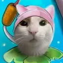 avogato02