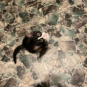 avatar 𝕒𝕟𝕘𝕚𝕖𝕖𝕖