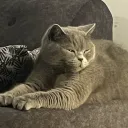 nikos_tgl
