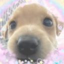 avatar I so puppy lol