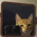 kzy69