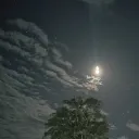 ut_sharma_