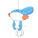 ledyba