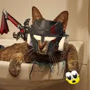 hyorc