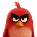 brodyj208