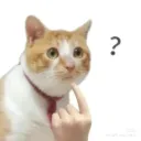 khaaraaeml9891