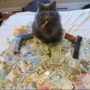 catandgun.