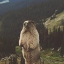 avatar Quasar | Dead Inside