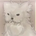 pixeldevhjkk